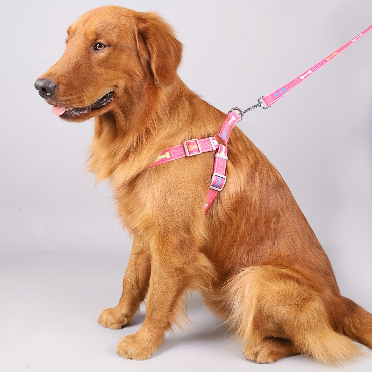 Adjustable Dog Harness with Qu - D Ring Strap recension och pris