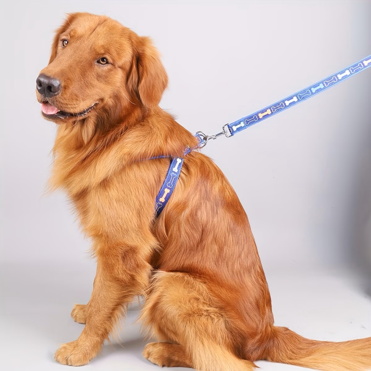 Adjustable Dog Harness with Qu - D Ring Strap recension och pris